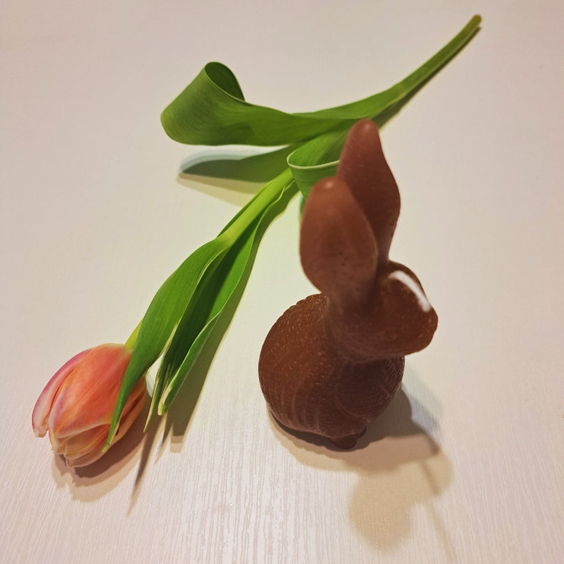 Bočný pohľad na sediacu sviečku zajačika Kiskedves, vedľa tulipán a zelené listy.